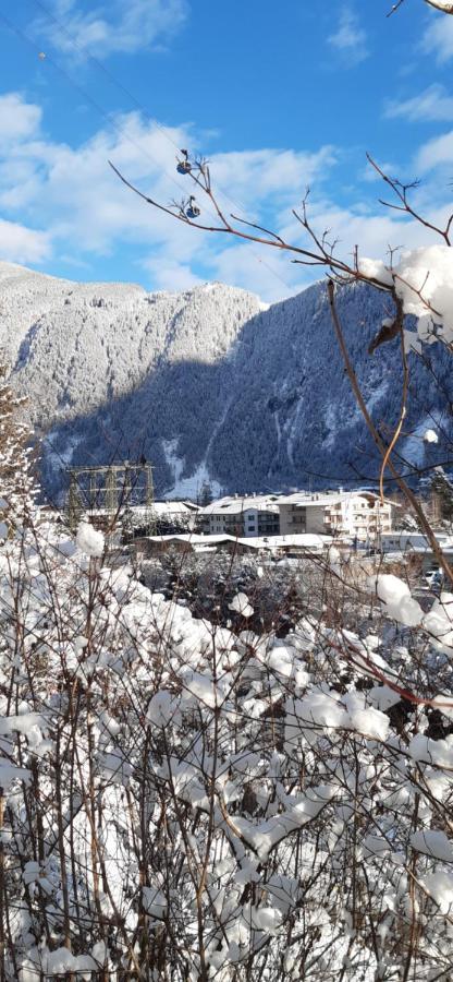 فندق مايرهوفنفي  Haus Bergfriede المظهر الخارجي الصورة